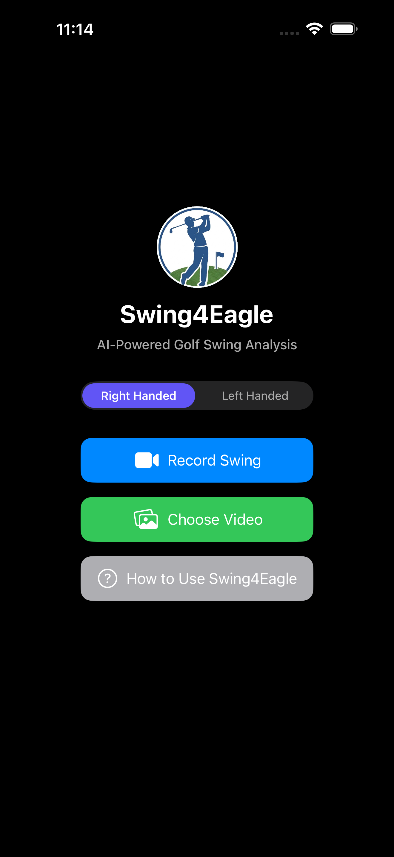 Swing analysis screenshot